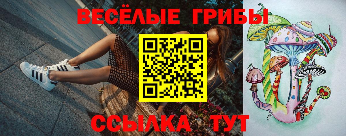 Псилоцибиновые грибы мухоморы Ульяновск
