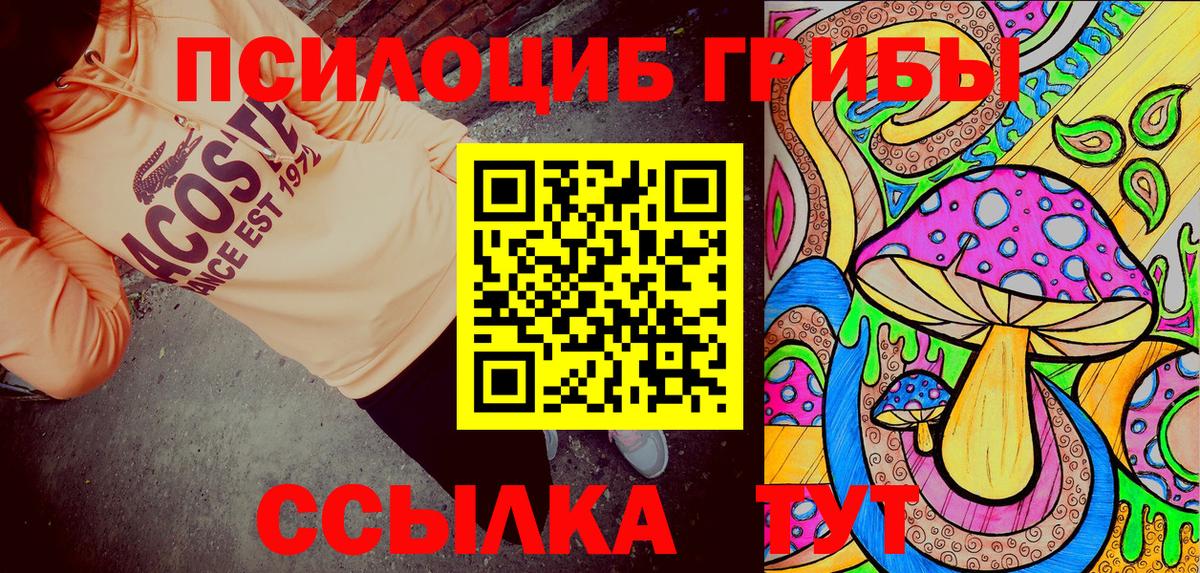 Ульяновск  Галлюциногенные грибы прущие грибы  продажа наркотиков  Вход с VPN 